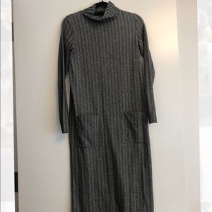 Winter Zara Midi Dress